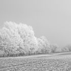 Winterspaziergang in Himmighofen