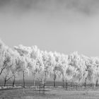 Winterspaziergang in Himmighofen