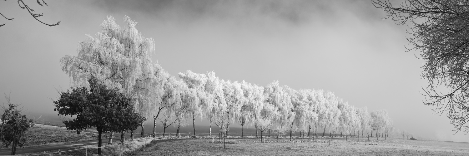 Winterspaziergang in Himmighofen