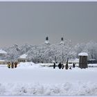 Winterspaziergang in Nymphenburg