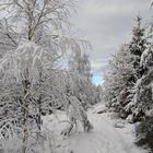 Winterspaziergang in Siegen