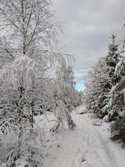 Winterspaziergang in Siegen