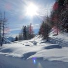 Winterspaziergang in Thyon / Schweiz