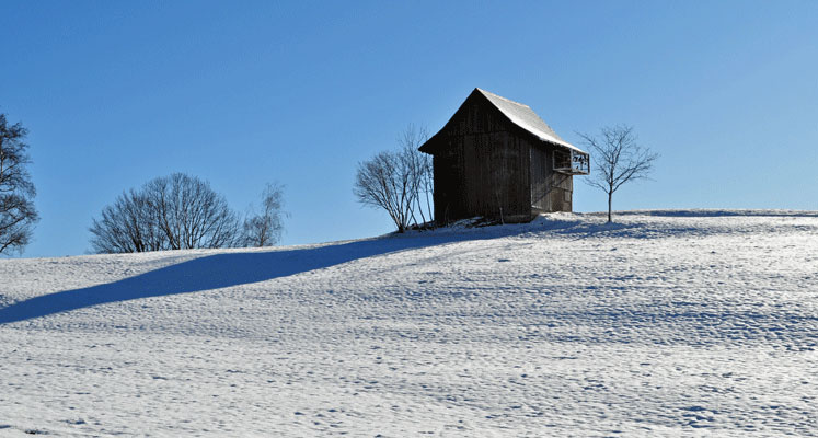 Winterspaziergang in Wald ZH