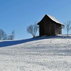 Winterspaziergang in Wald ZH