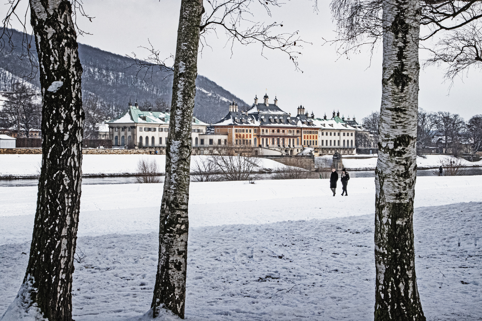 Winterspaziergang in Zschachwitz 