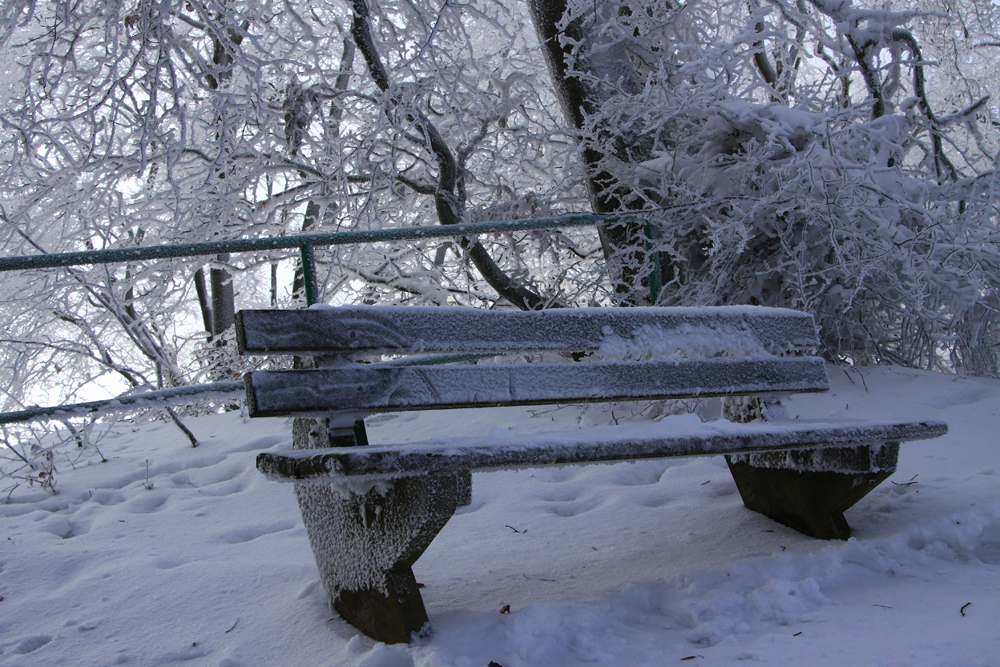 Winterspaziergang kalte Bank