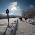 Winterspaziergang mit dem Samyang 14mm f/2.8