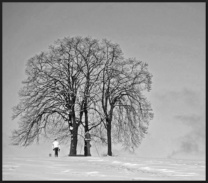 Winterspaziergang mit Hund