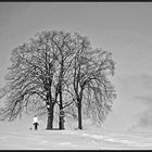 Winterspaziergang mit Hund