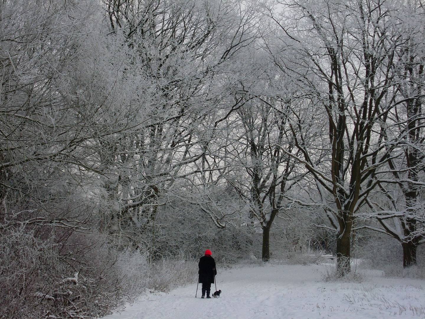 Winterspaziergang mit roter Mütze und Hund