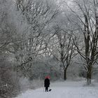 Winterspaziergang mit roter Mütze und Hund