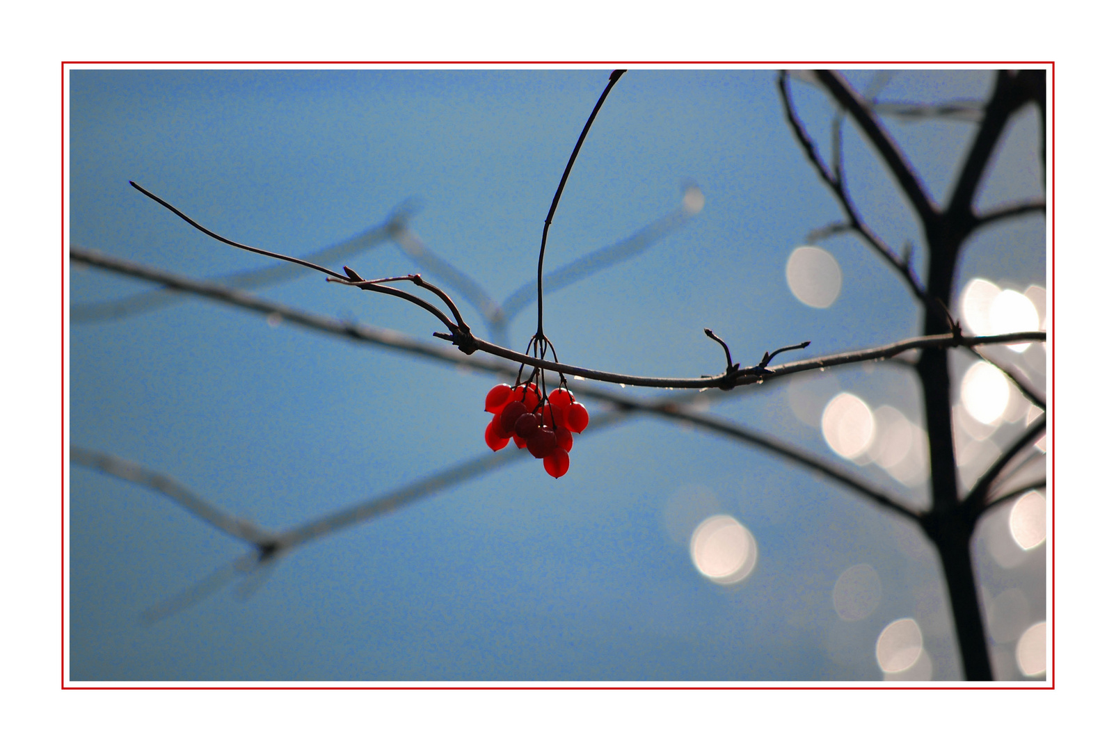 Winterspaziergang Nr.1