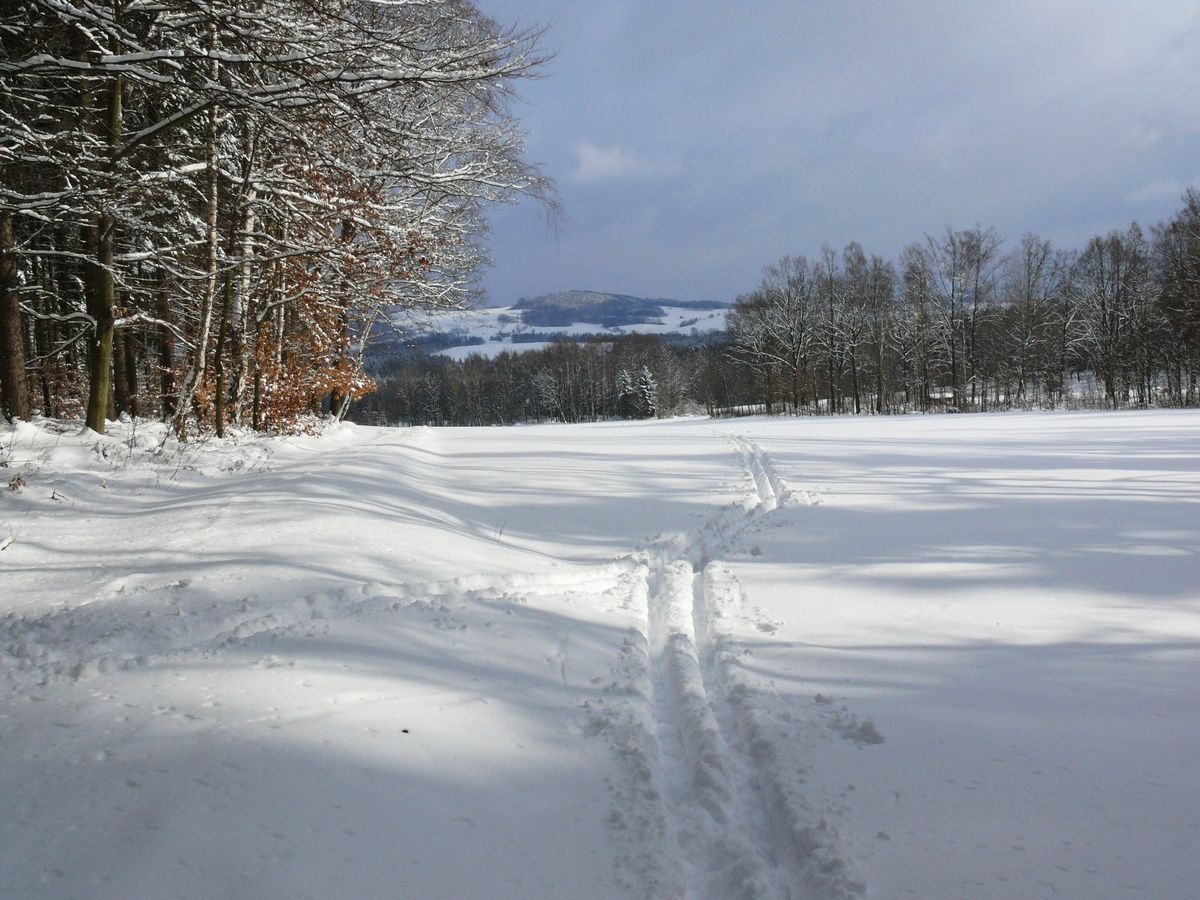 Winterspaziergang per Ski