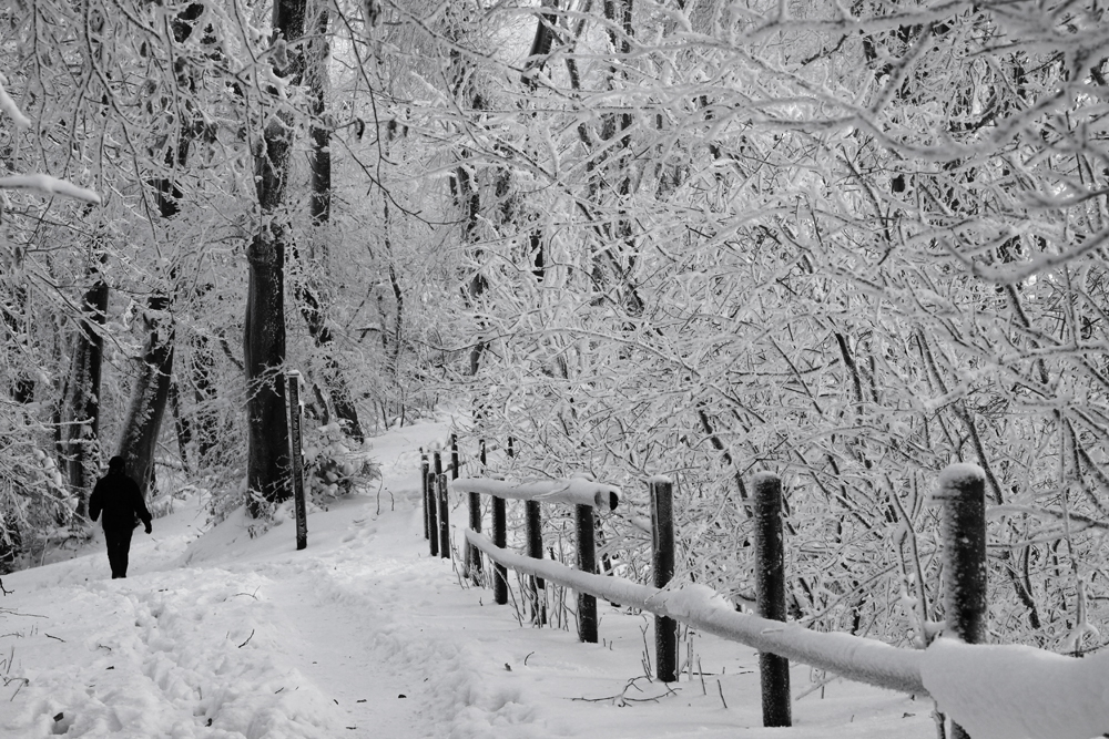 Winterspaziergang Porta sw