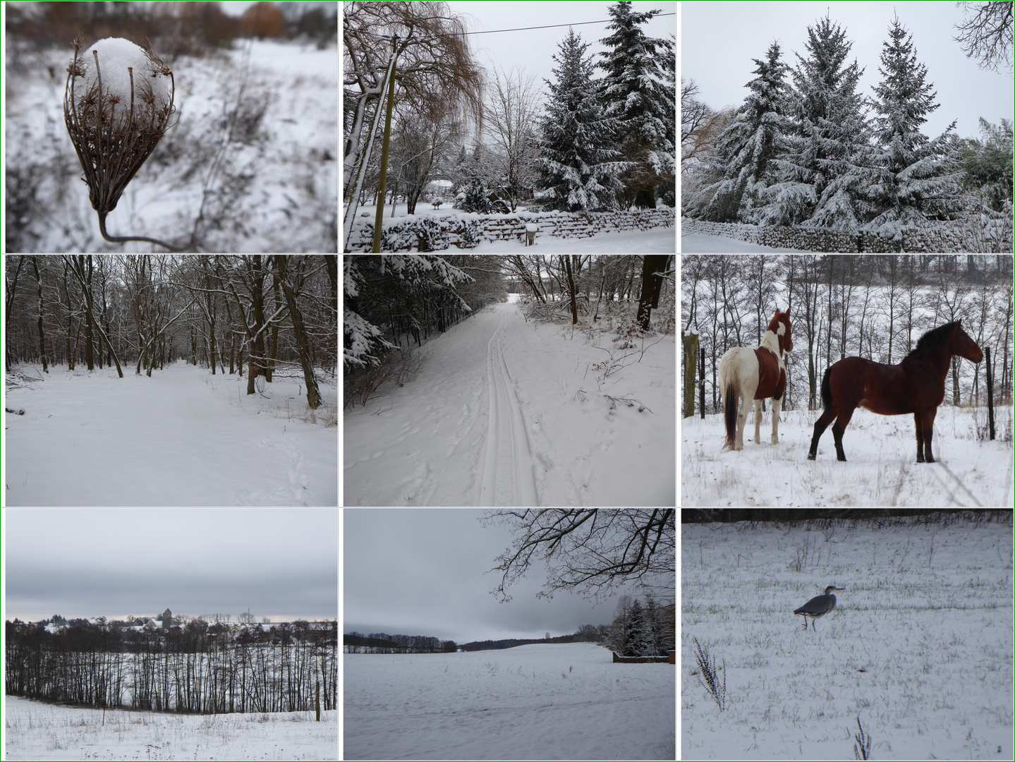 Winterspaziergang rund um Reetz