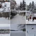 Winterspaziergang rund um Reetz