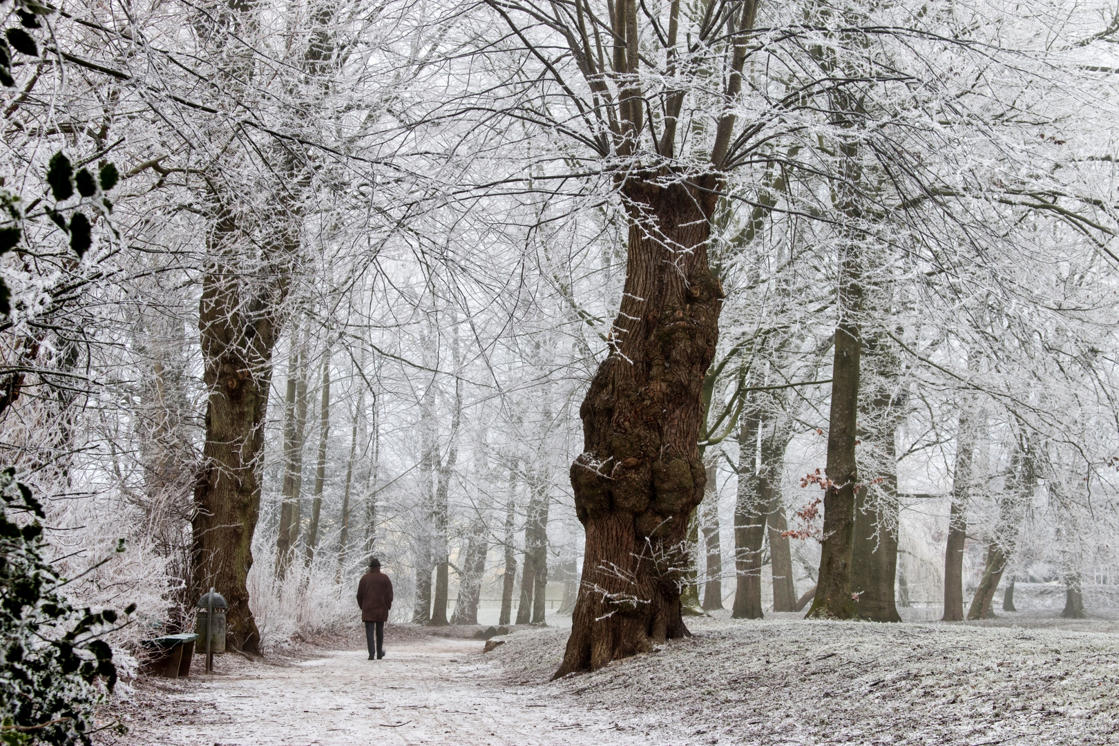 Winterspaziergang Schloßpark von Husum