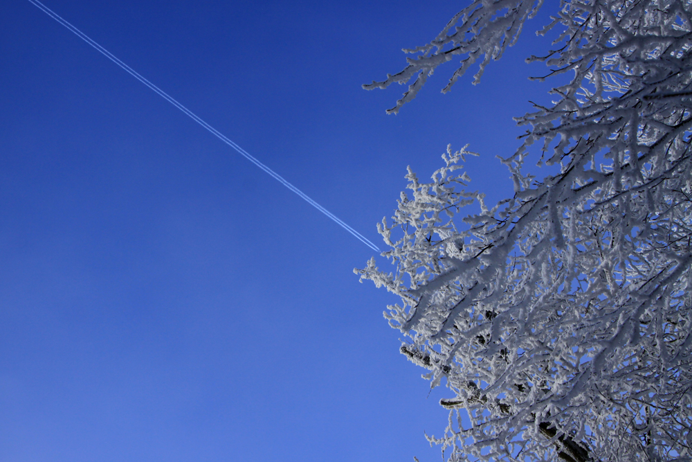 Winterspaziergang Streifen