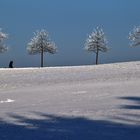 Winterspaziergang, Teil II