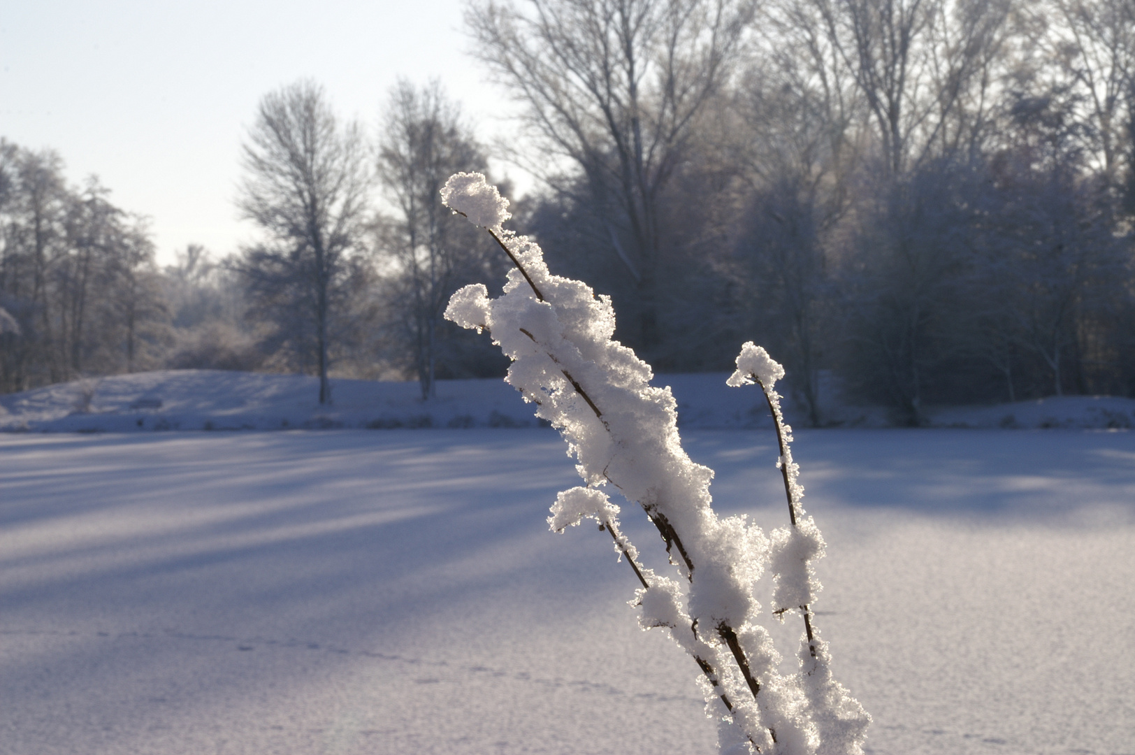 Winterspaziergang um den See