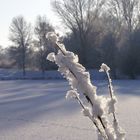 Winterspaziergang um den See