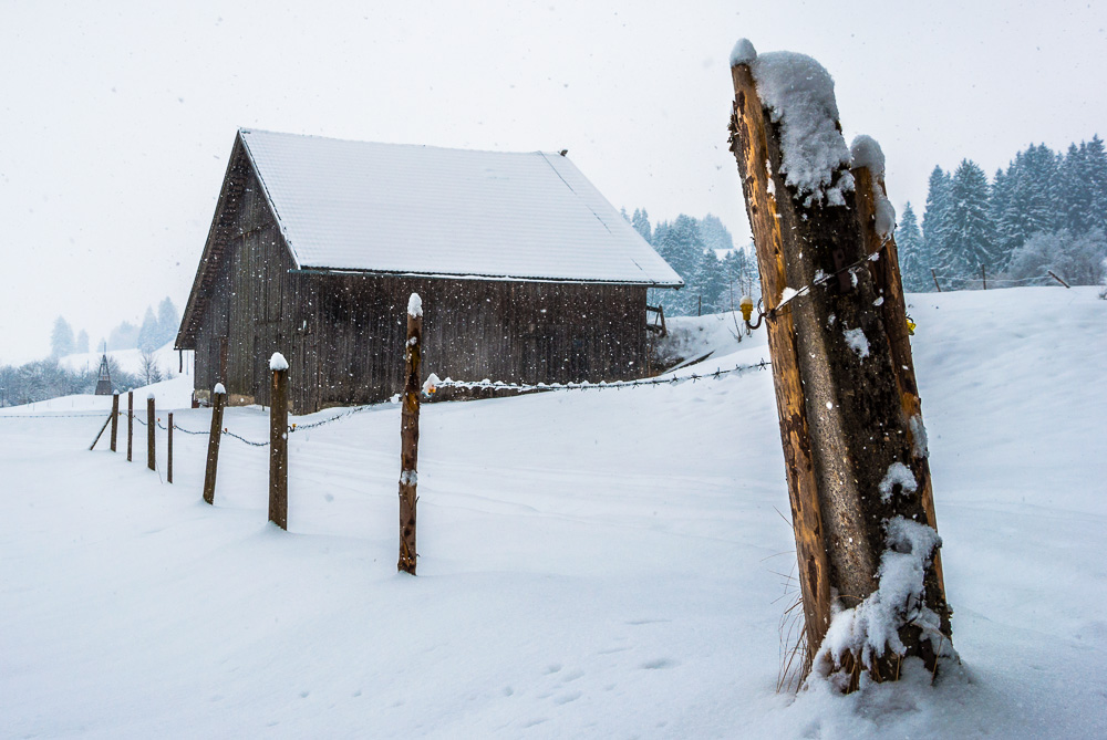 Winterspaziergang zu Ostern am Forggensee/Roßhaupten