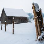 Winterspaziergang zu Ostern am Forggensee/Roßhaupten