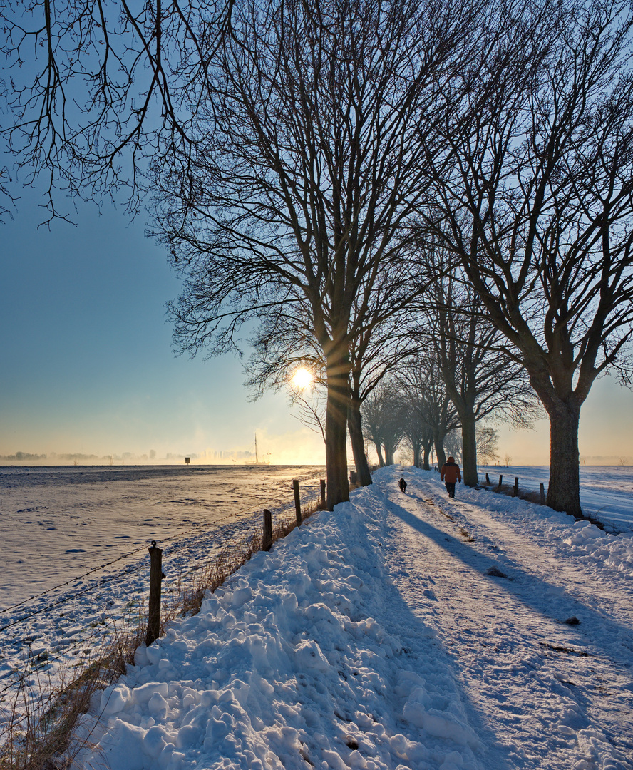 Winterspaziergang zum Rhein