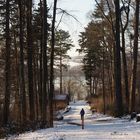 Winterspaziergang zum See