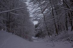 Winterspaziergang zur Kaltenburg