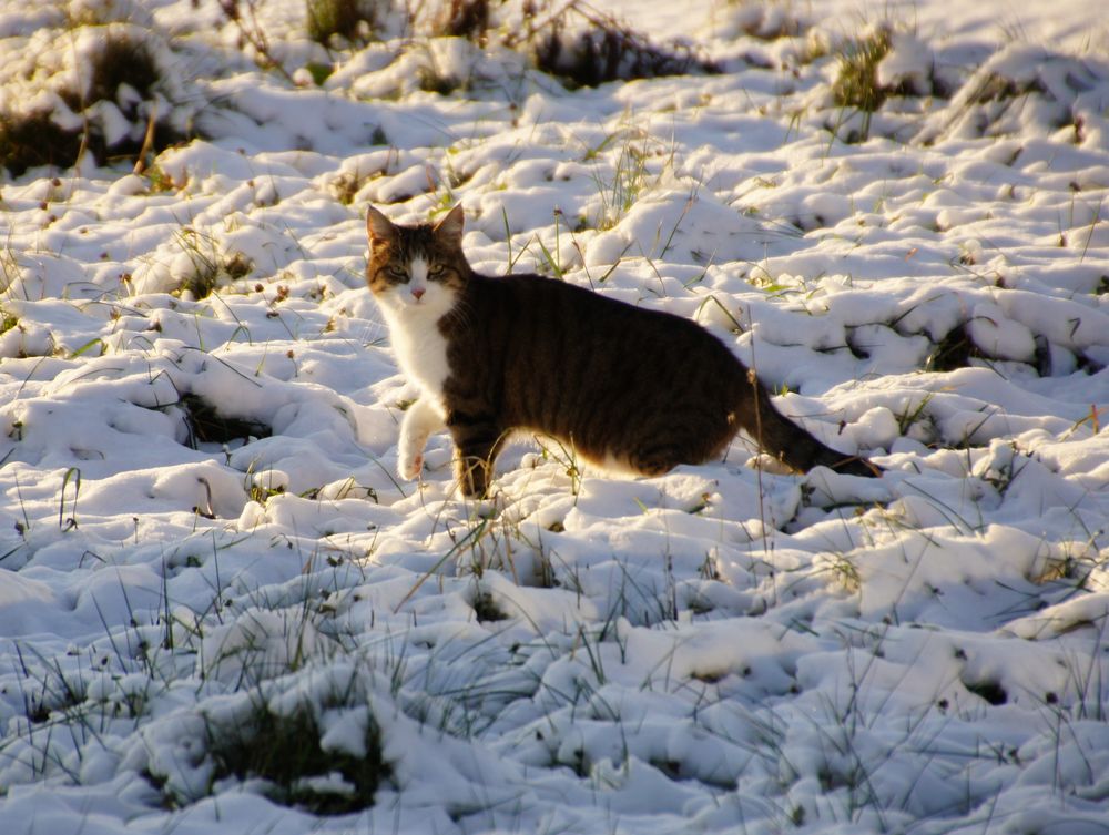 Winterspaziergang_02