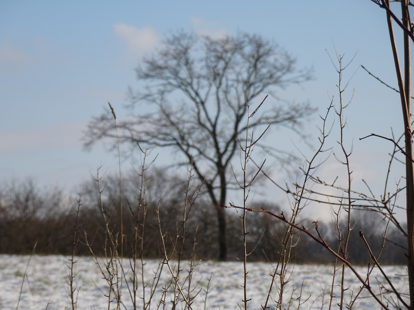 Winterspaziergang_1