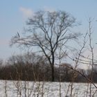 Winterspaziergang_1