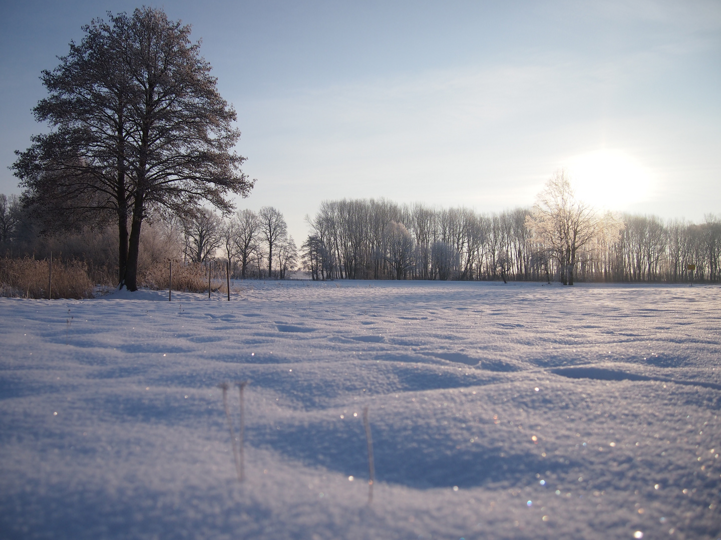 winterspaziergang2