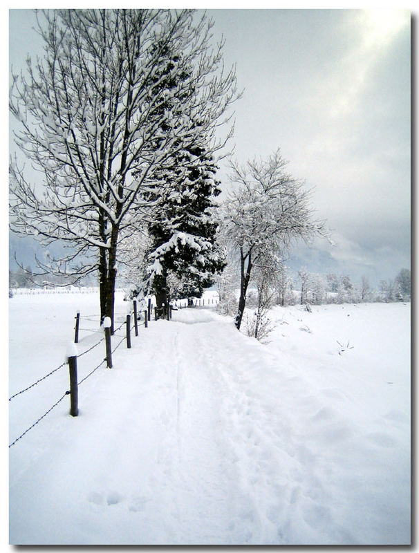 Winterspaziergang2