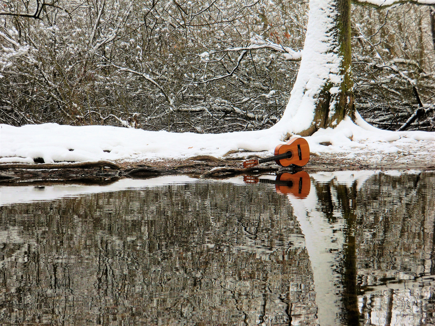 Winterspiegel