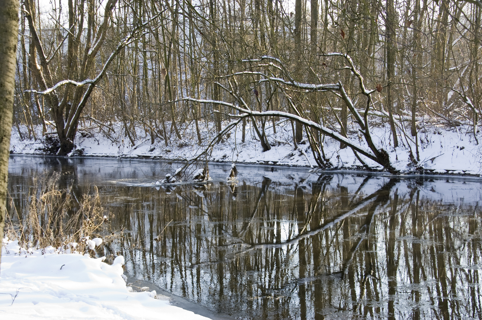 Winterspiegel