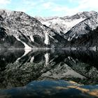 Winterspiegelung am Plansee