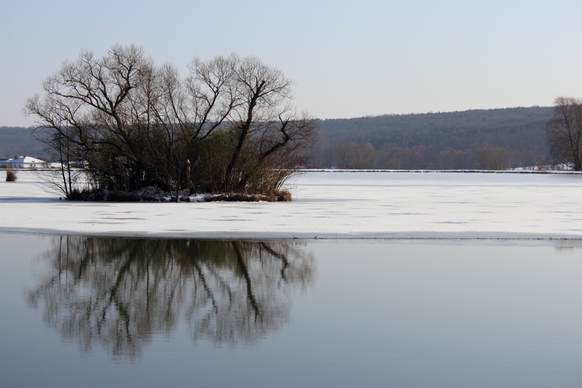 Winterspiegelung