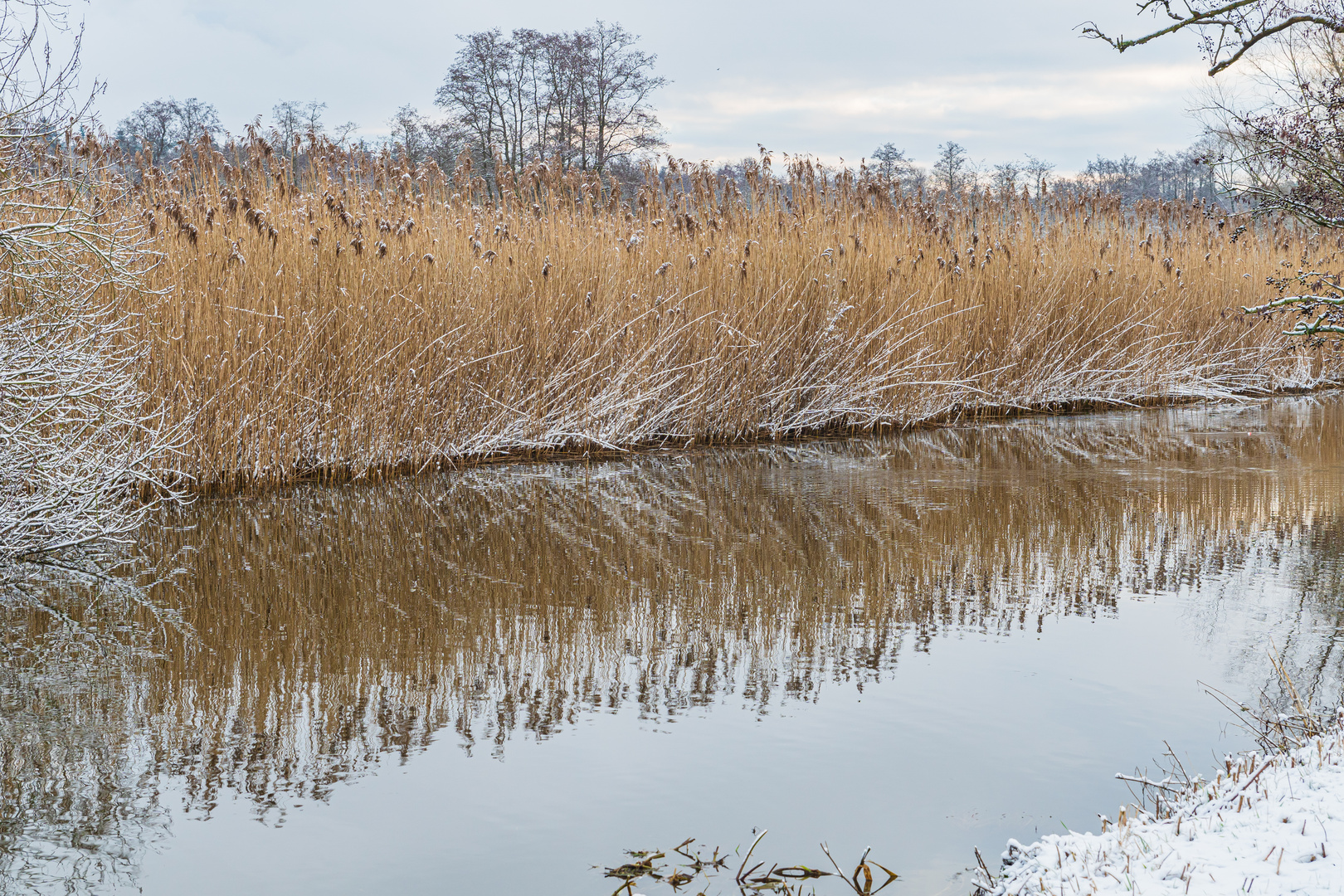 Winterspiegelung im Nebenfluss...