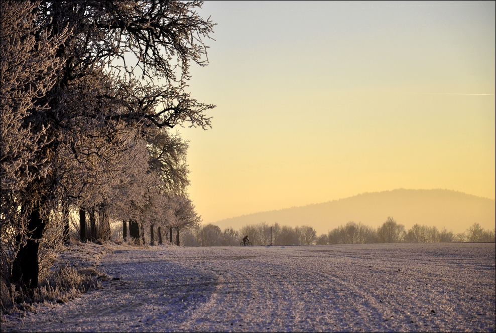 Wintersport