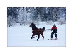 Wintersport mal anders