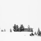 Wintersport monochrom