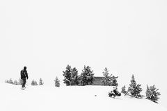 Wintersport monochrom