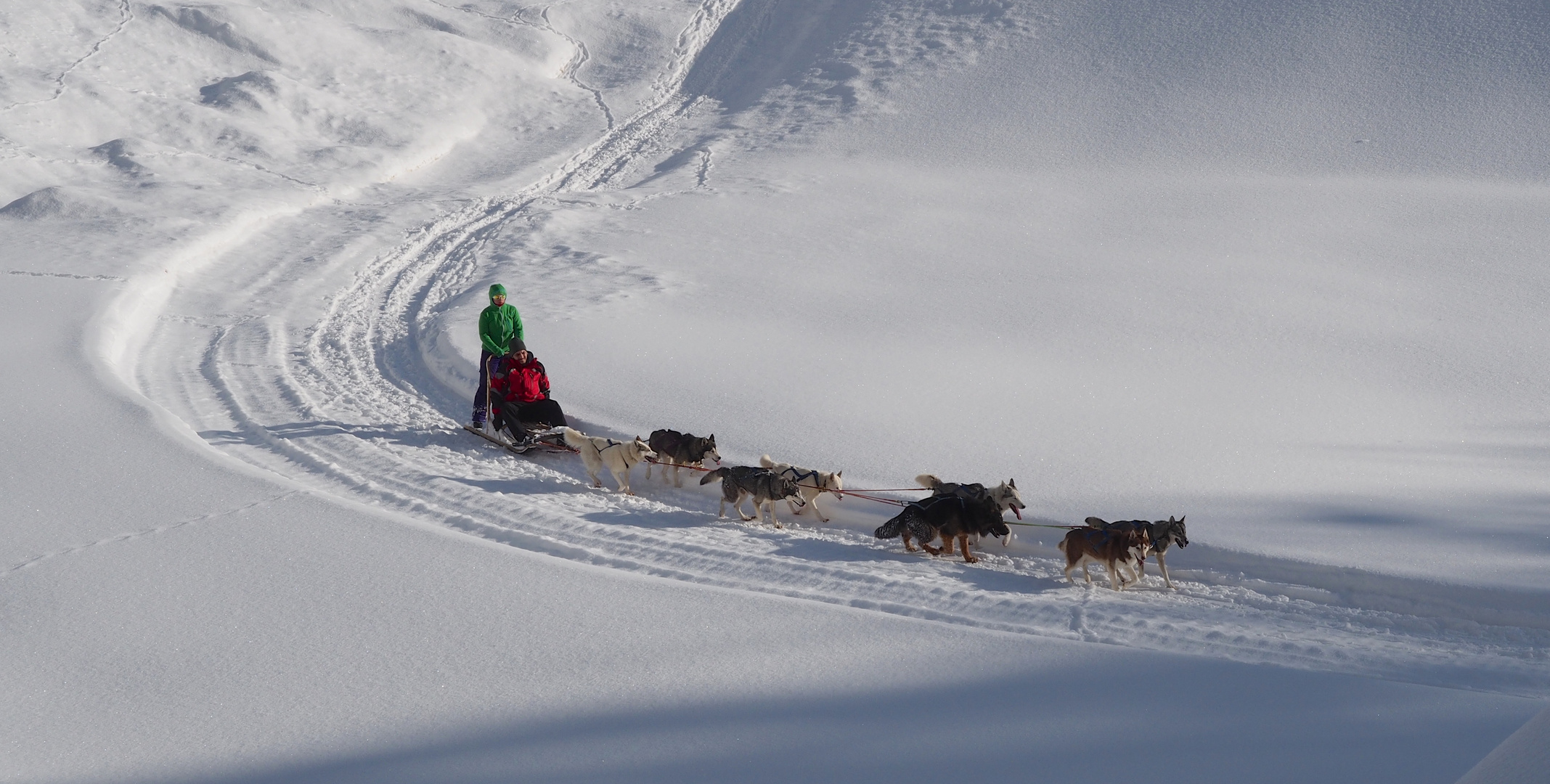 Wintersport: Zwei Menschen und acht Hunde