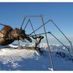 Wintersportgefahren