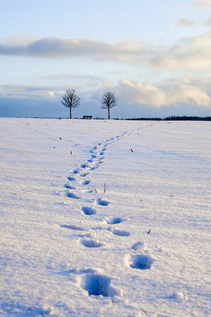 Winterspuren