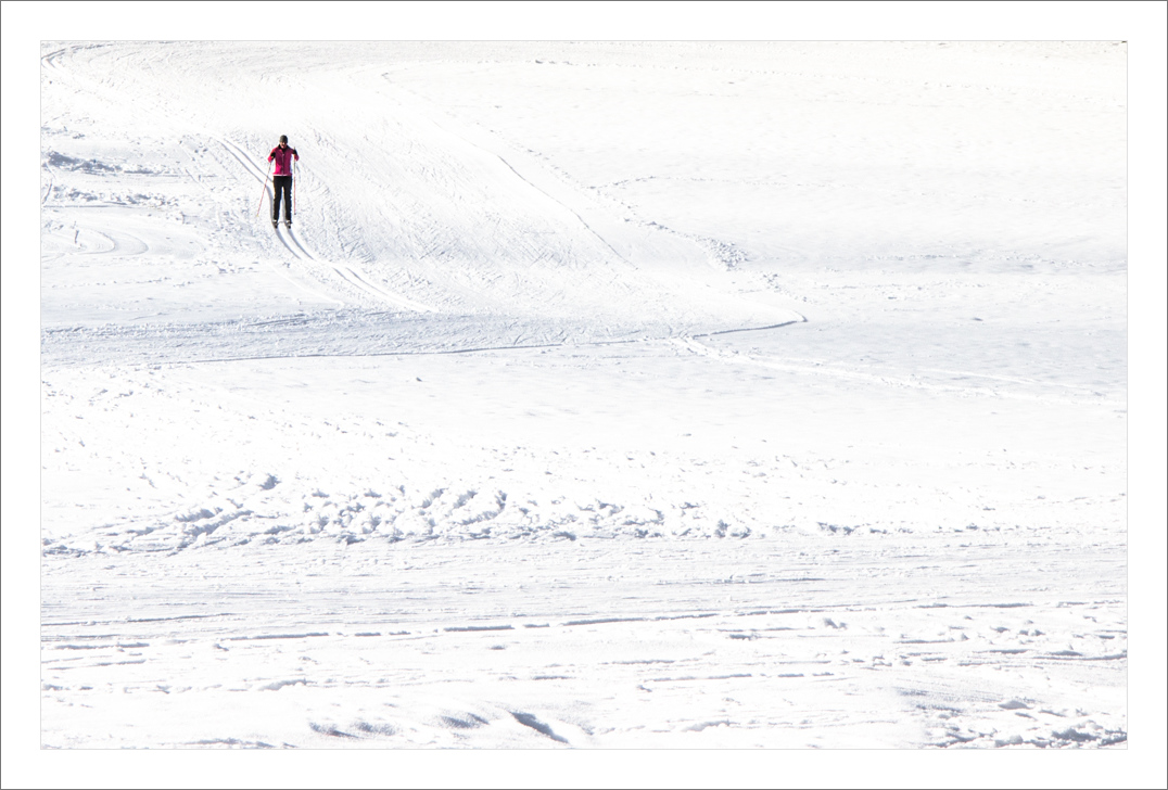 Winter.spuren.wirr.warr