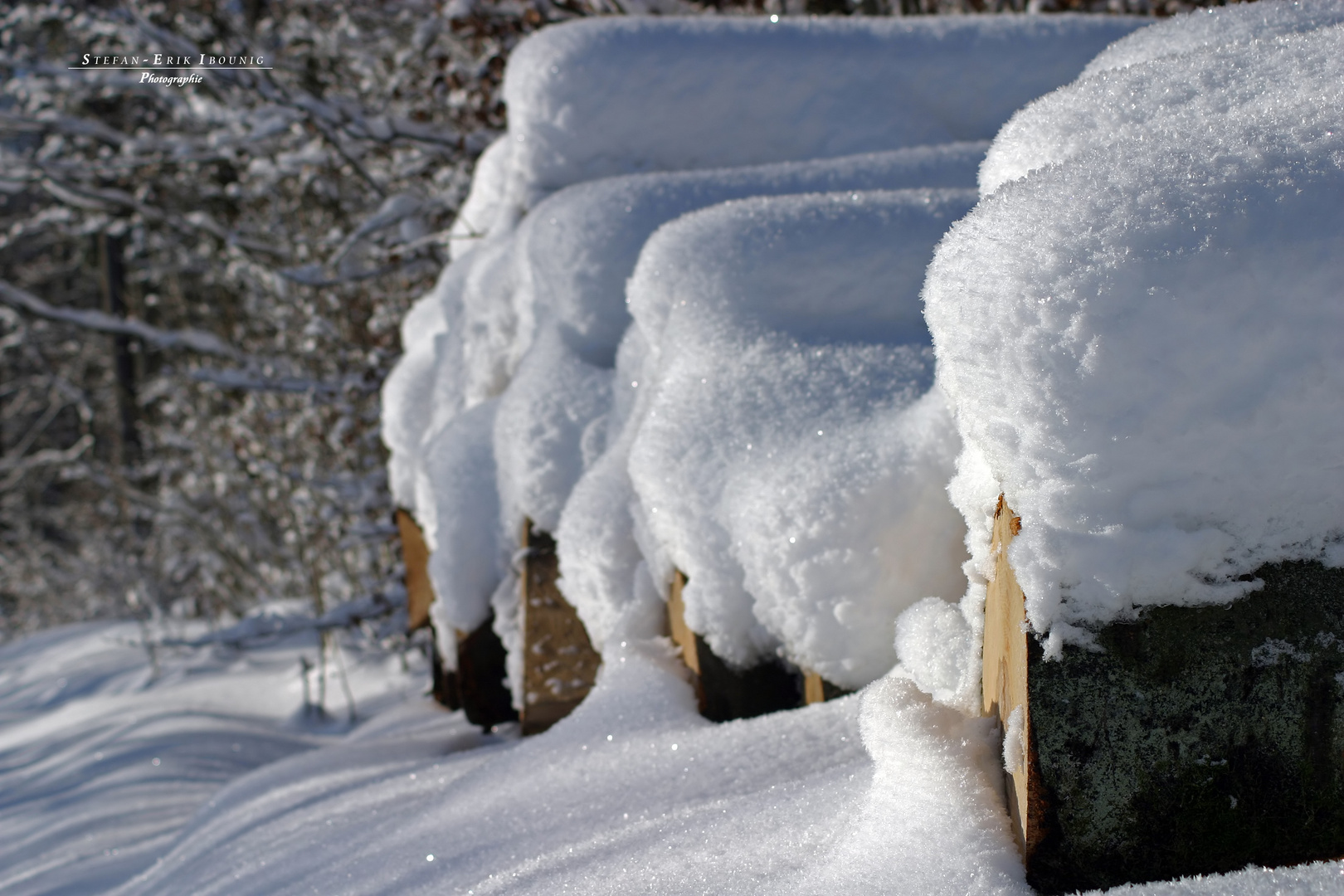 "Winterstämme"